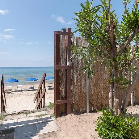 Living * سبرلونغا