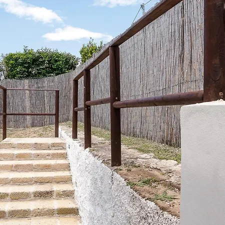 Living سبرلونغا