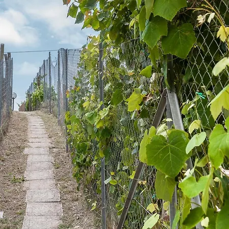 بيت للعطل Living سبرلونغا